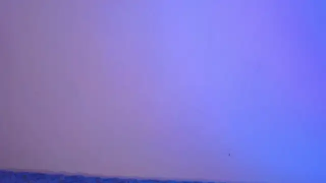 LoveSeekins online show from November 29, 7:29 pm