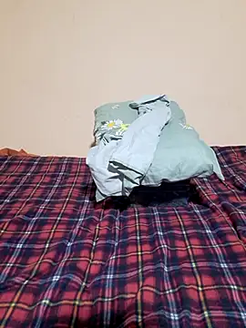 Ansiasex online show from October 7, 2:16 am