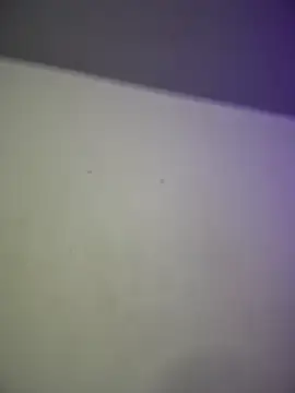 Megaan  More online show from April 25, 2:36 am