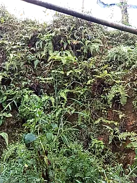 bonnie-00 online show from April 19, 11:07 pm