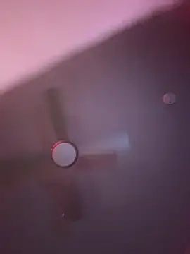 Texxaspearl online show from April 25, 9:56 am