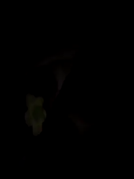 cam-astrip online show from September 21, 11:36 pm