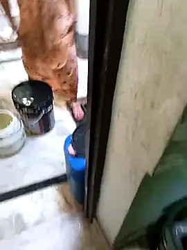 Cute-Charvii online show from March 8, 2:48 am