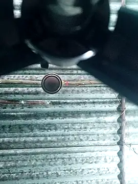 tamil-nagini online show from October 2, 4:56 pm