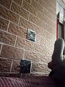 Ponka2011 online show from April 25, 5:10 am