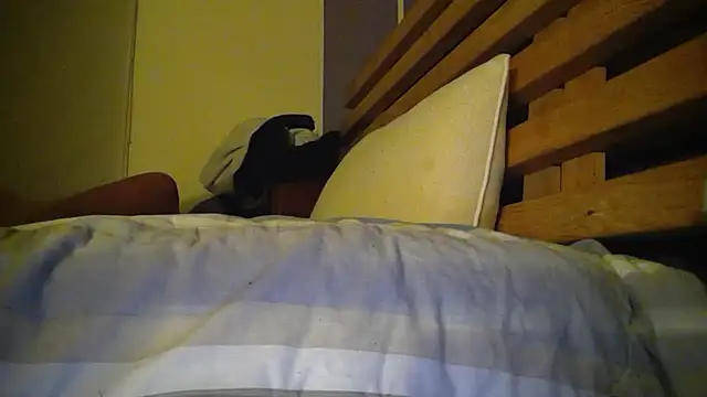 original2025 online show from November 16, 1:44 pm