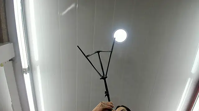 Brigith24 online show from April 26, 5:16 am