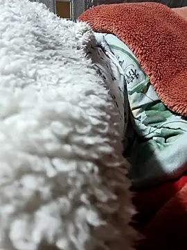 Paul-paul11 online show from January 7, 9:51 pm