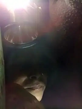 Rs sonam online show from January 11, 12:26 am