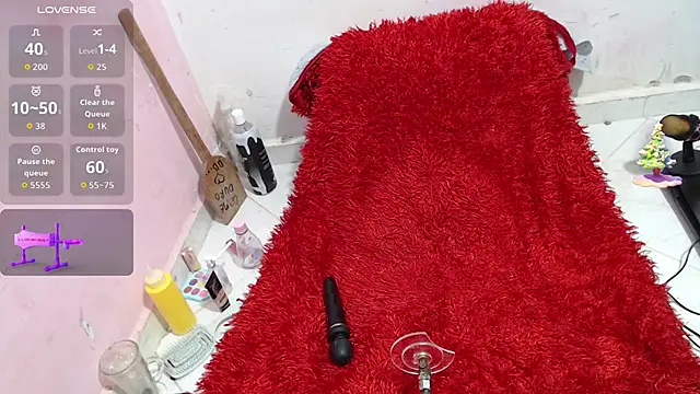 codorniz2025 online show from November 1, 9:57 am