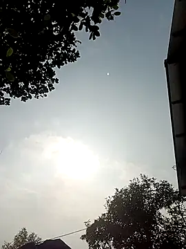 kemmut-sex online show from January 17, 2:52 am