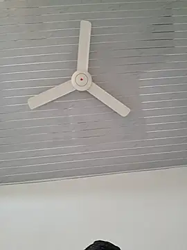 lady and charly online show from October 9, 11:36 am