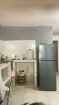 thepicis online show from November 28, 1:41 am