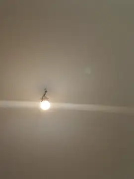 labellerose online show from April 23, 5:04 pm