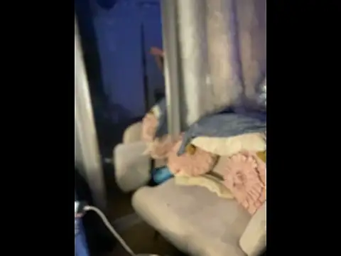 queenkelly1234 online show from April 10, 9:43 pm