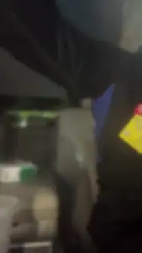 queenkelly1234 online show from April 19, 7:30 am