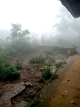 Myzak- online show from March 8, 12:29 am