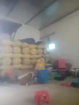 Myzak- online show from October 26, 11:22 pm