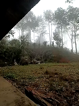 sowbibi online show from December 15, 2:17 am