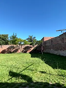 Anirock90- online show from December 16, 8:26 pm