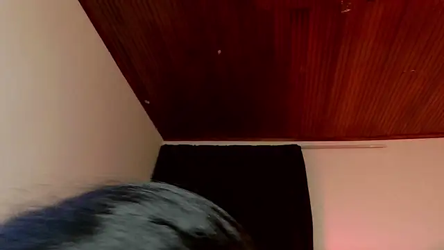 melissa  dolce online show from June 5, 7:03 am