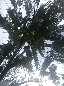 Camila-Valverde online show from January 31, 8:51 pm