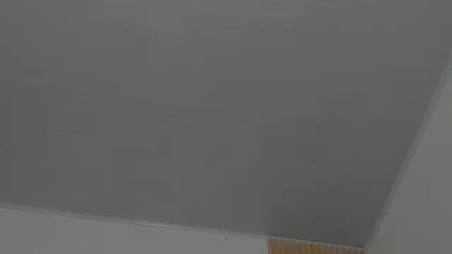 little emiily  online show from January 19, 11:50 am