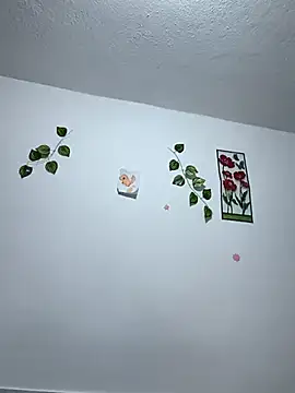 sany gomez online show from December 22, 9:45 am