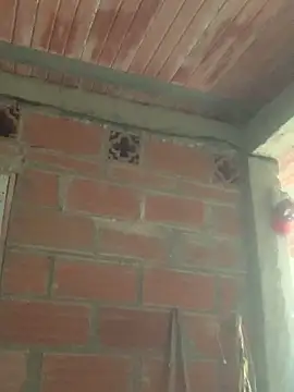 Megan2026 online show from January 19, 3:08 pm