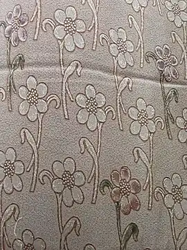 sanjana077 online show from April 27, 4:20 am