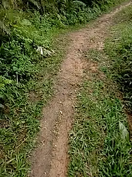 Cloud-wh online show from February 24, 3:38 am