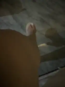 xuebaby76 online show from November 15, 11:44 am