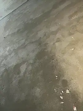 meganmeo online show from December 20, 11:53 pm