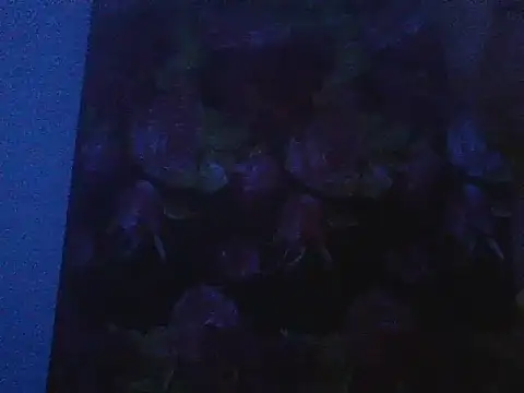 Maverik1313 online show from February 7, 3:54 am