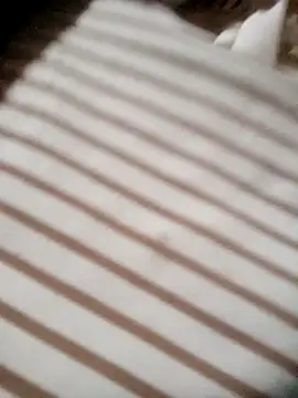 Hilary-123 online show from February 18, 2:10 am