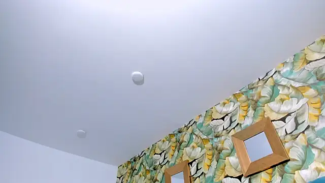 SammyBlassio online show from February 2, 7:13 pm