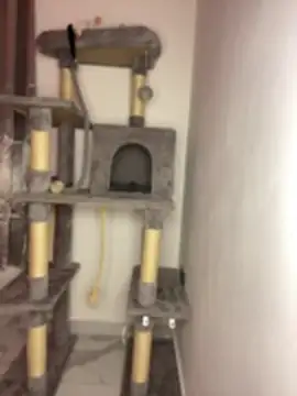 Daniela ruizz online show from April 29, 11:21 pm