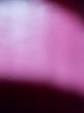 Myrelahot online show from March 21, 12:37 am