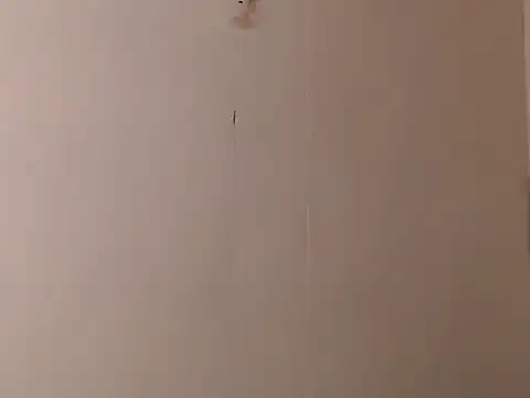 camelastarsairo online show from March 31, 9:37 pm