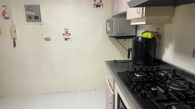 toritoga online show from April 20, 3:37 pm