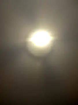 Atwsliiikizilll online show from April 25, 2:47 pm