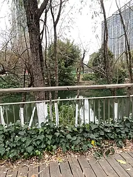 qingqing-ss online show from December 23, 5:55 am