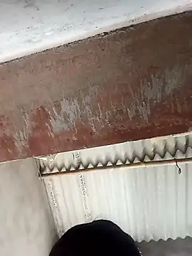 Shreya pandit online show from February 27, 9:20 am