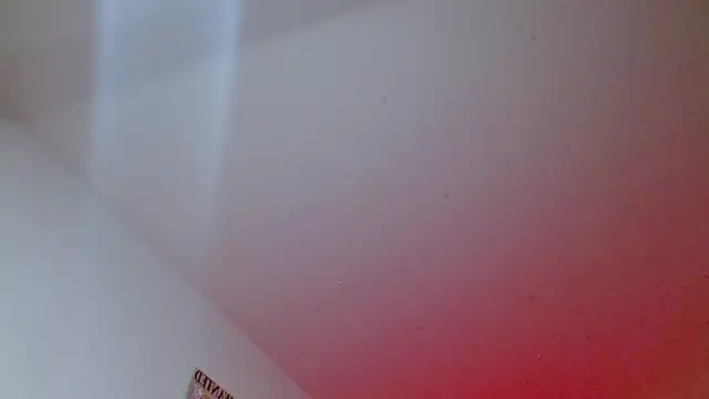  Veronicaa  online show from April 22, 3:58 am