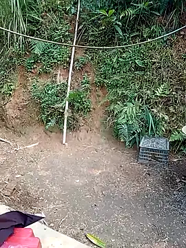 Girl cutee online show from February 17, 8:02 am