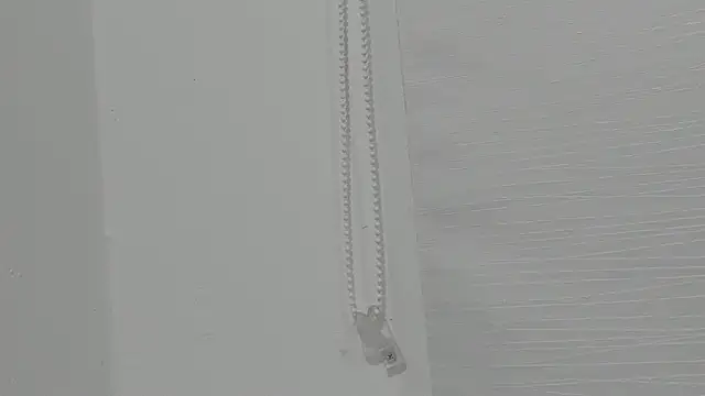 ariloe quintero online show from April 24, 1:03 pm