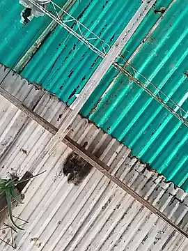 kathe 2910 online show from February 10, 3:37 pm