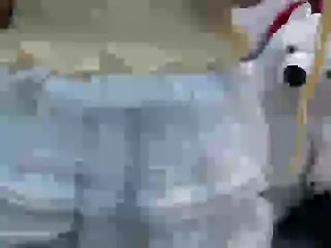 Sana 2k online show from December 22, 12:52 pm