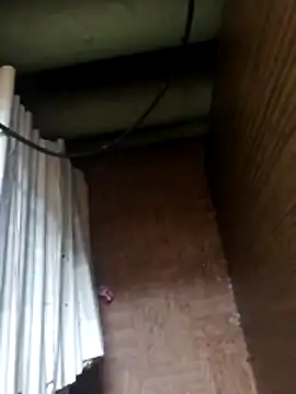 Tata and Joker online show from April 10, 12:33 pm