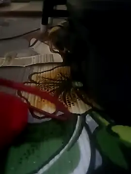 Np couple008 online show from March 26, 5:15 pm